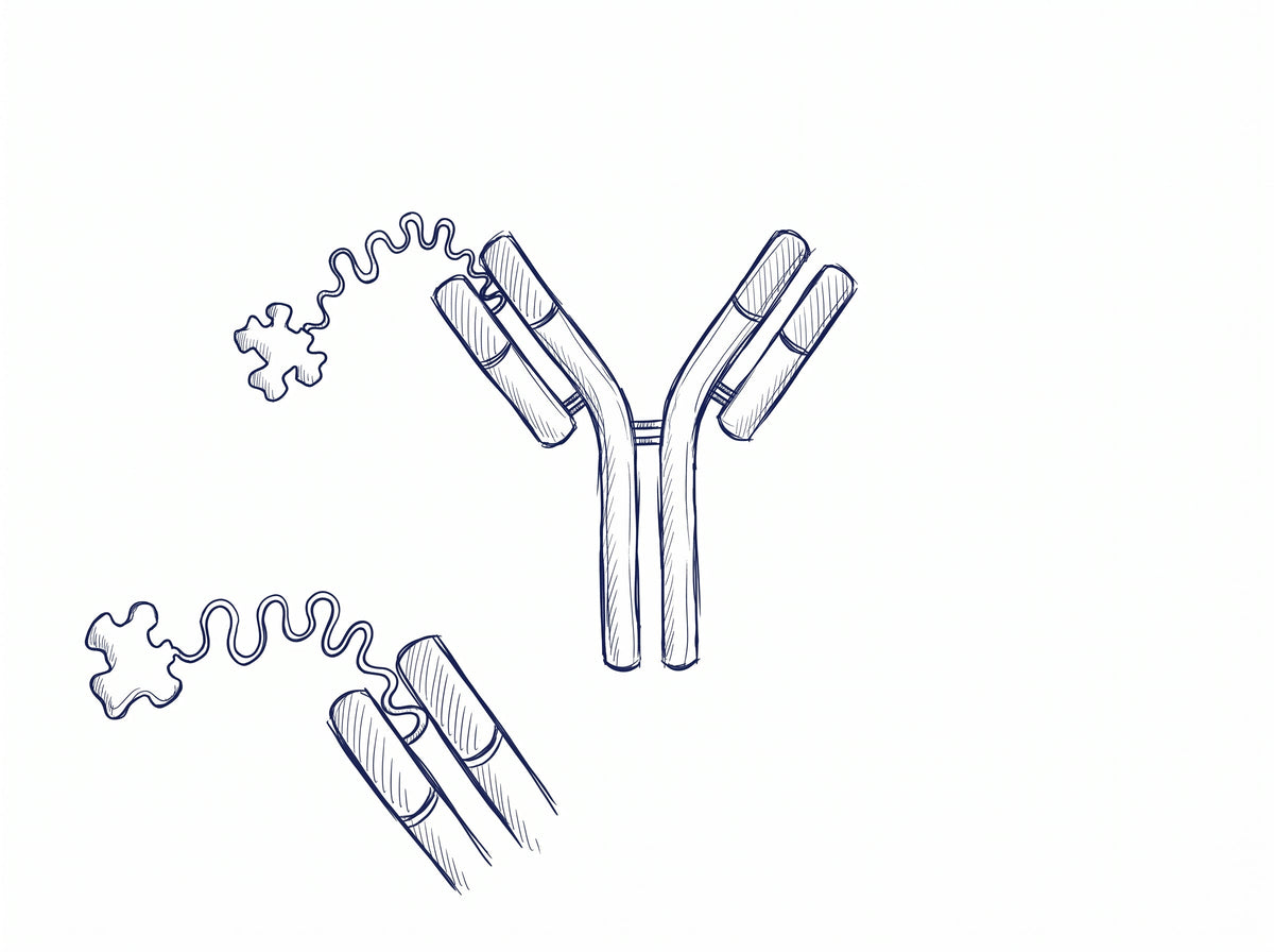 NorrChemica Bioconjugation & Bioorthogonal Chemistry — click reagents, ADC linkers and ligation reagents for protein conjugation and labelling. CoA and SDS provided, DDP shipping.