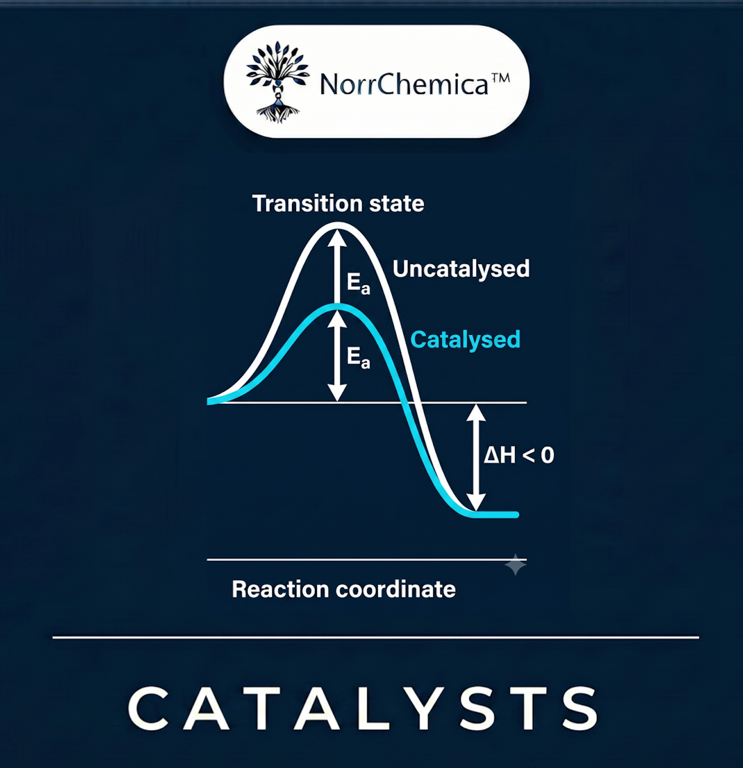 Research-grade catalysts for synthetic chemistry — transition-metal complexes, precatalysts, ligands and organocatalysts for cross-coupling, hydrogenation and oxidation. EU-made, worldwide DDP, CoA and SDS provided.