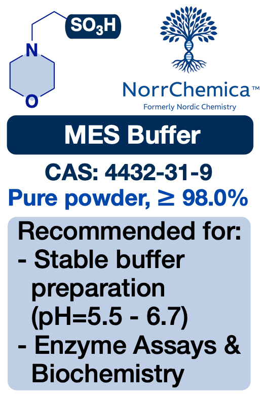MES—2-(N-Morpholino)ethanesulfonic Acid (Powder, ≥98%) | CAS 4432-31-9 | R&D Buffer