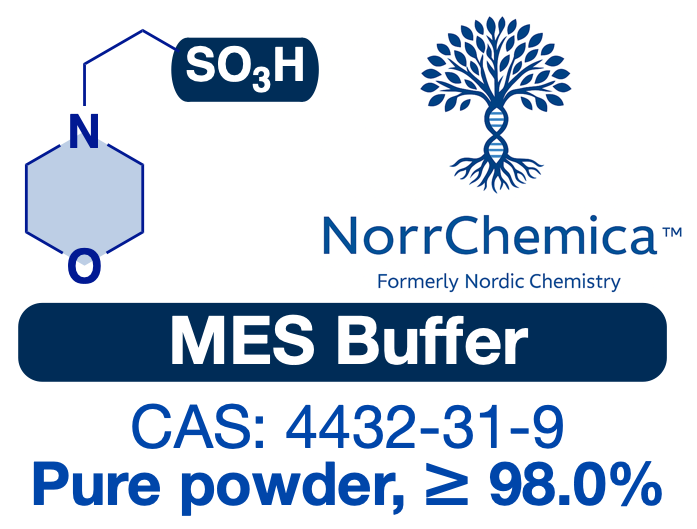 MES—2-(N-Morpholino)ethanesulfonic Acid (Powder, ≥98%) | CAS 4432-31-9 | R&D Buffer