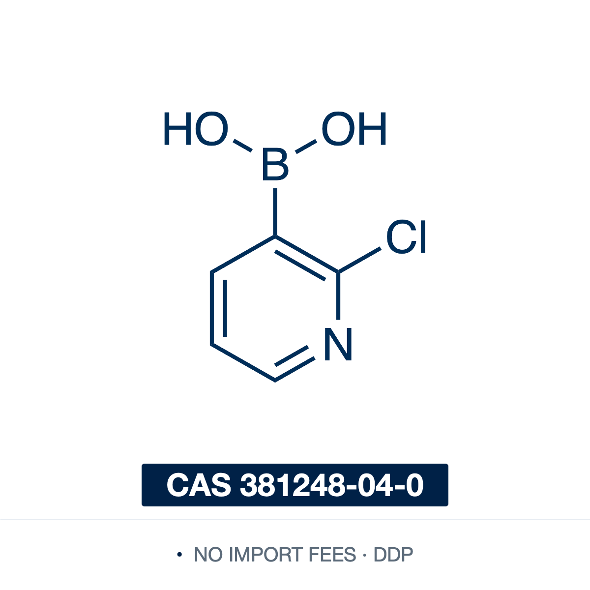 Chemical structure of 2-Chloropyridine-3-boronic Acid, CAS 381248-04-0, ≥98% — bifunctional halopyridine boronic acid: a –B(OH)2 at the 3-position and a chloro at the adjacent 2-position (C5H5BClNO2; the free boronic acid, may contain some cyclic anhydride/boroxine). A Suzuki–Miyaura building block whose ortho chloride enables sequential, regioselective functionalization (second coupling or amination) for pharma/agrochemical synthesis. Supplied by NorrChemica with DDP shipping. CoA and SDS provided.