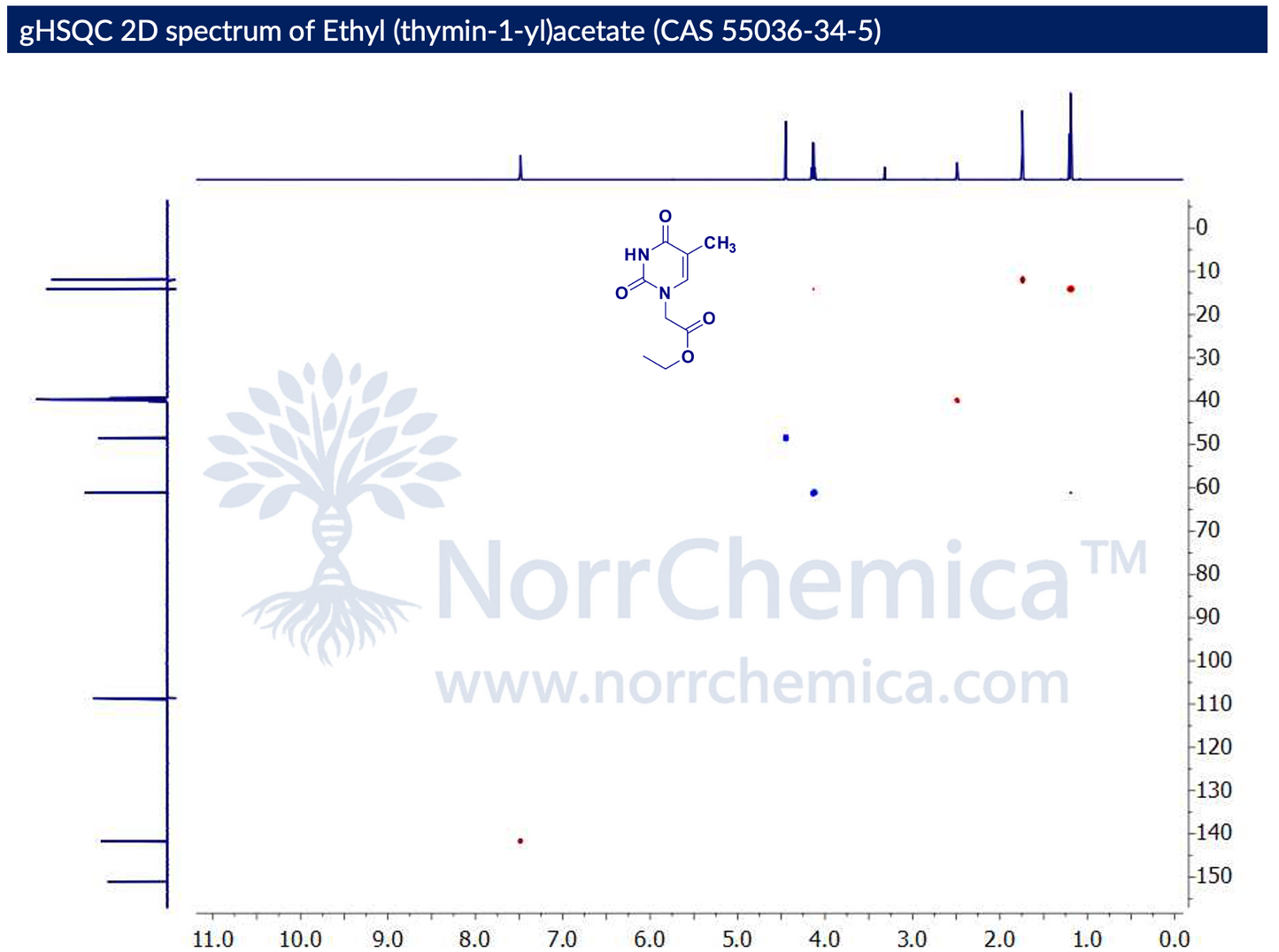 gHSQC 2D NMR spectrum of Ethyl (thymin-1-yl)acetate (CAS 55036-34-5) in DMSO-d₆, Bruker Avance, correlating ¹H (F2, ~0–11 ppm) with ¹³C (F1, ~0–150 ppm) one-bond couplings. Cross-peaks confirm thymine C6–H at ~7.5/141 ppm; N1–CH₂ at ~4.4/48 ppm; ester O–CH₂ at ~4.1/61 ppm; thymine 5-CH₃ at ~1.7/12 ppm; ester CH₃ at ~1.2/14 ppm. Confirms structure of N1-alkylated thymine ester. NorrChemica.