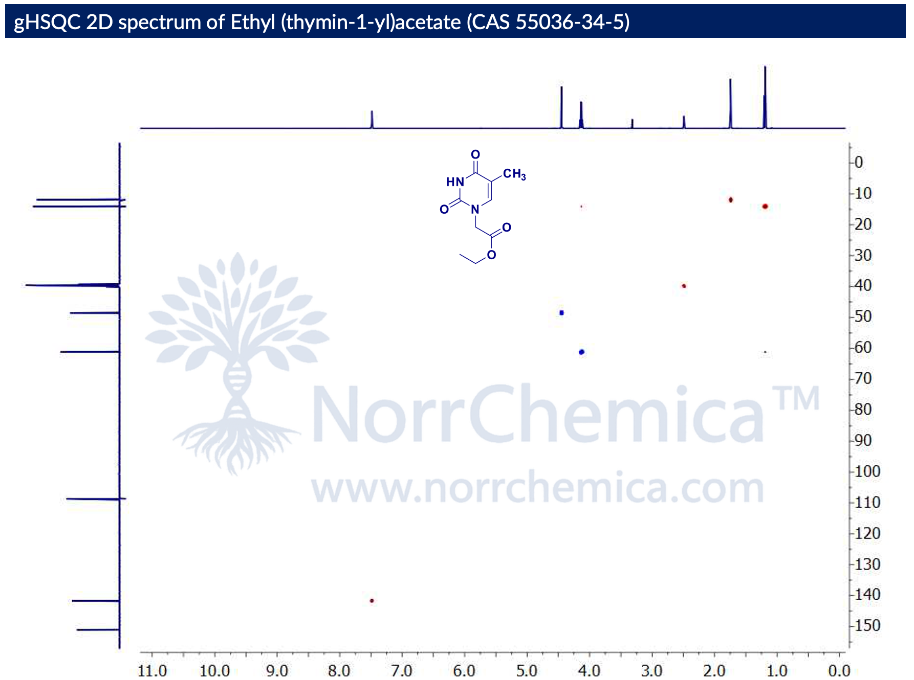 gHSQC 2D NMR spectrum of Ethyl (thymin-1-yl)acetate (CAS 55036-34-5) in DMSO-d₆, Bruker Avance, correlating ¹H (F2, ~0–11 ppm) with ¹³C (F1, ~0–150 ppm) one-bond couplings. Cross-peaks confirm thymine C6–H at ~7.5/141 ppm; N1–CH₂ at ~4.4/48 ppm; ester O–CH₂ at ~4.1/61 ppm; thymine 5-CH₃ at ~1.7/12 ppm; ester CH₃ at ~1.2/14 ppm. Confirms structure of N1-alkylated thymine ester. NorrChemica.