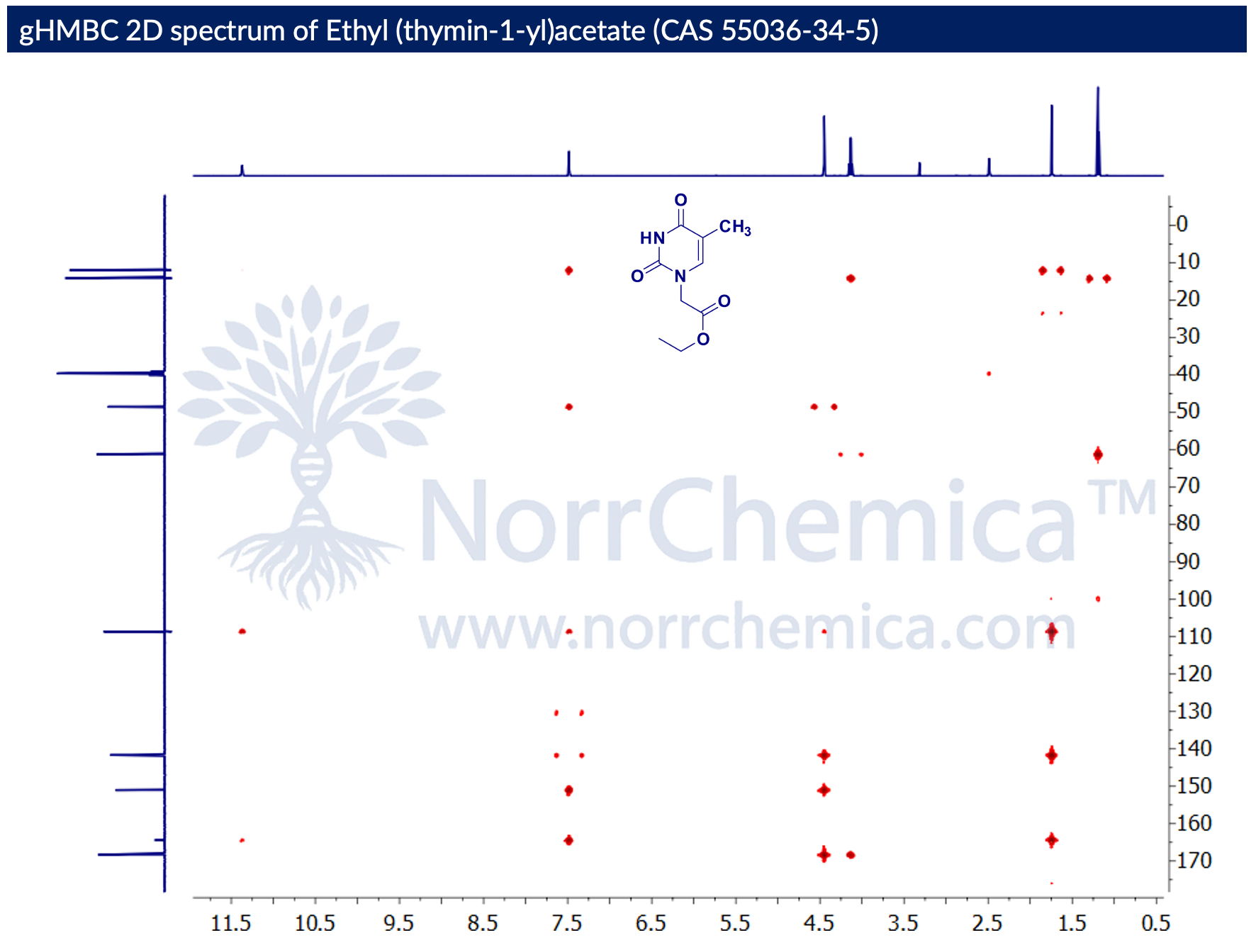 gHMBC 2D NMR spectrum of Ethyl (thymin-1-yl)acetate (CAS 55036-34-5) in DMSO-d₆, Bruker Avance, correlating ¹H (F2, ~0.5–11.5 ppm) with ¹³C (F1, ~0–170 ppm) through long-range (²J, ³J) couplings. Cross-peaks from N1–CH₂ (~4.4 ppm) to thymine C2/C4 carbonyls (~150–168 ppm) and C6 (~141 ppm) confirm N1 attachment of the acetate arm; correlations from ester O–CH₂ (~4.1 ppm) and CH₃ (~1.2 ppm) to the ester C=O (~168 ppm) confirm the ethyl ester. NorrChemica.